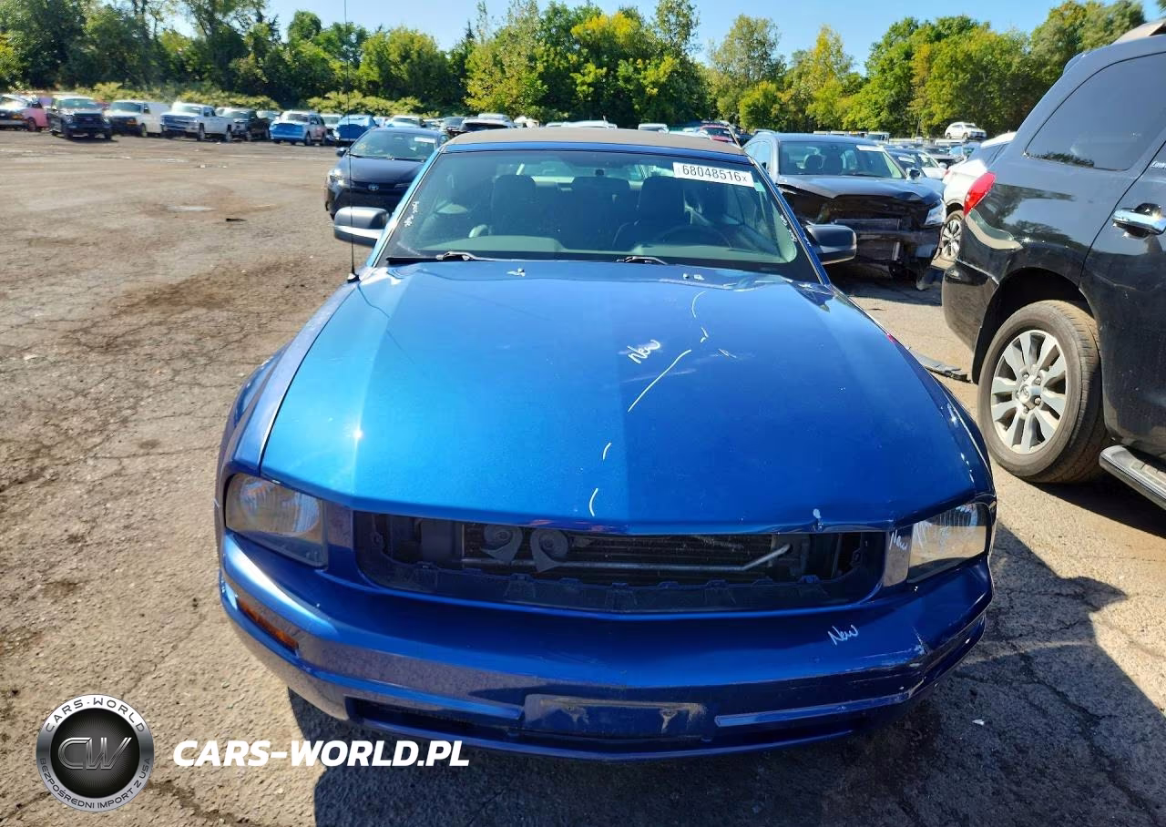 2006 Ford Mustang VIN:1ZVFT84NX65232071 - 5
