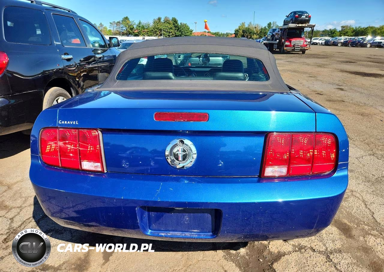 2006 Ford Mustang VIN:1ZVFT84NX65232071 - 6