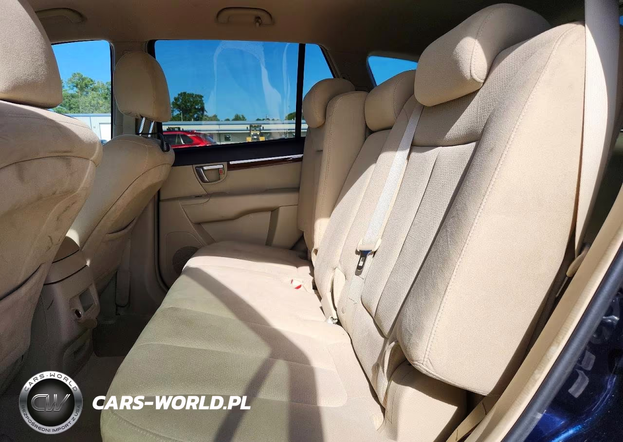 2009 Hyundai Santa Fe Gls VIN:5NMSG73D89H313807 - 10