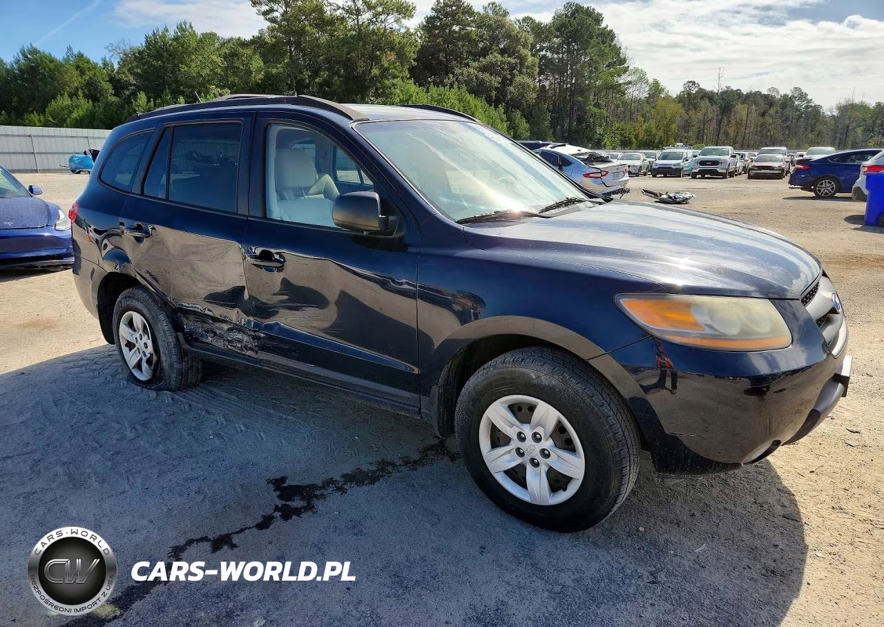 2009 Hyundai Santa Fe Gls VIN:5NMSG73D89H313807 - 4