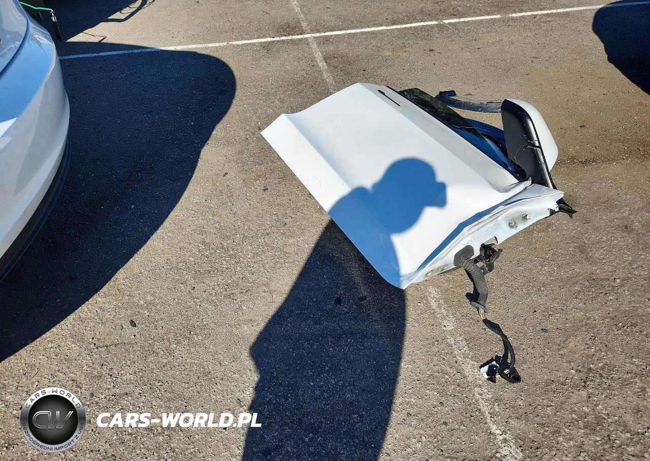 2023 Tesla Model 3 VIN:5YJ3E1EAXPF606150 - 12