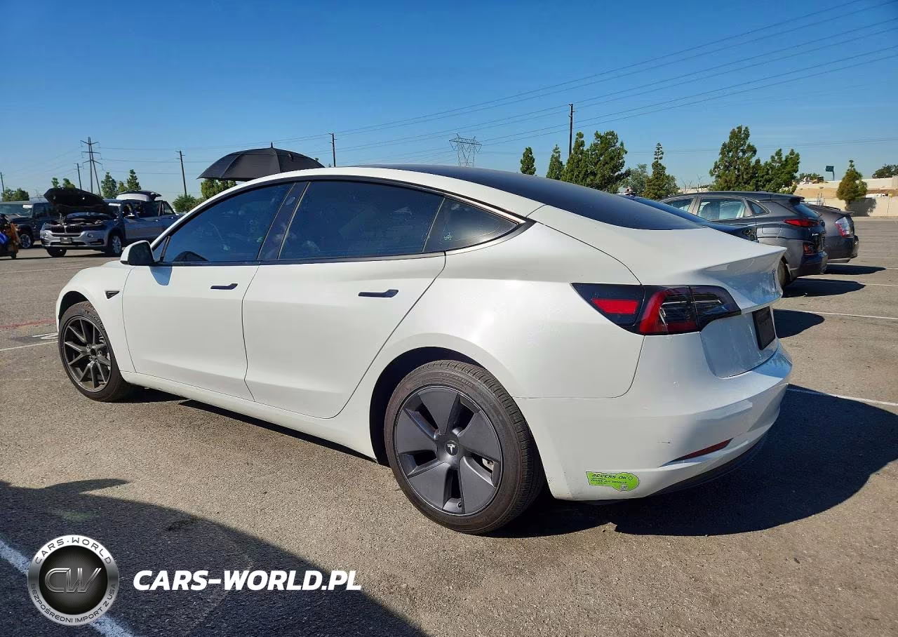 2023 Tesla Model 3 VIN:5YJ3E1EAXPF606150 - 2