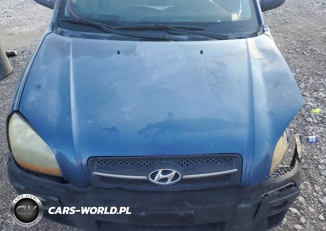 2006 Hyundai Tucson Gls VIN:KM8JN12D26U363697 - 11