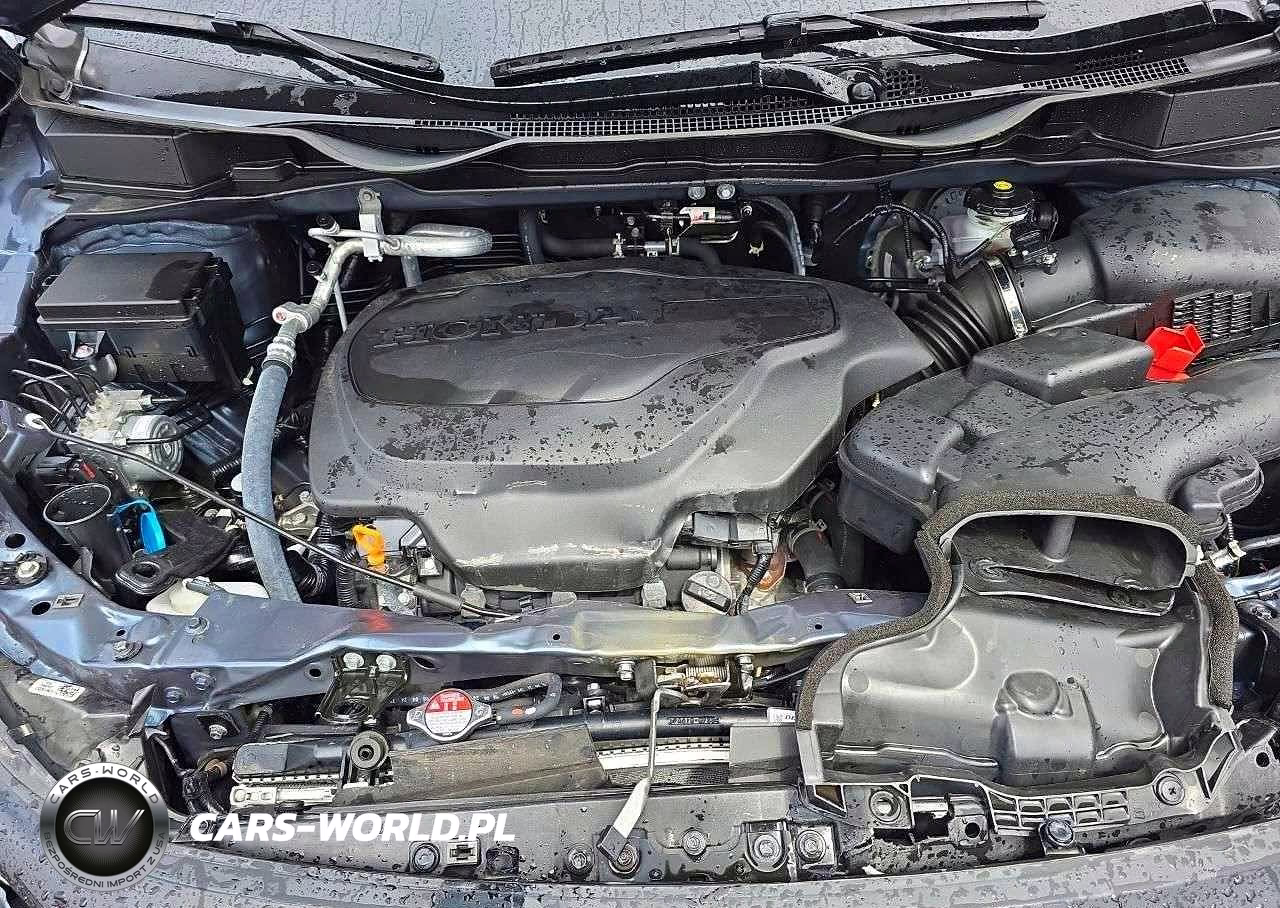 2025 Honda Odyssey Elite VIN:5FNRL6H99SB030901 - 13