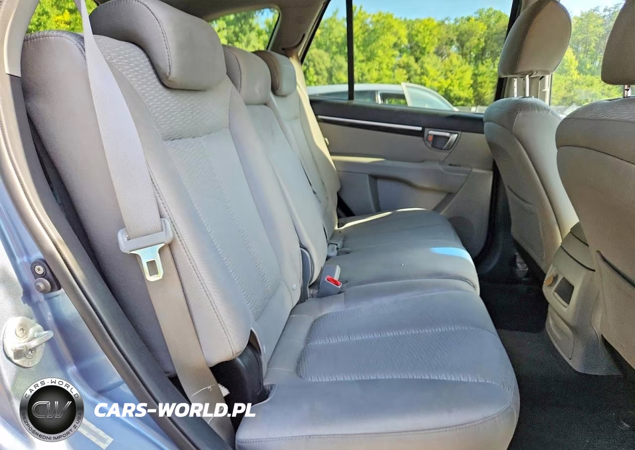 2009 Hyundai Santa Fe Gls VIN:5NMSG13D19H300376 - 11