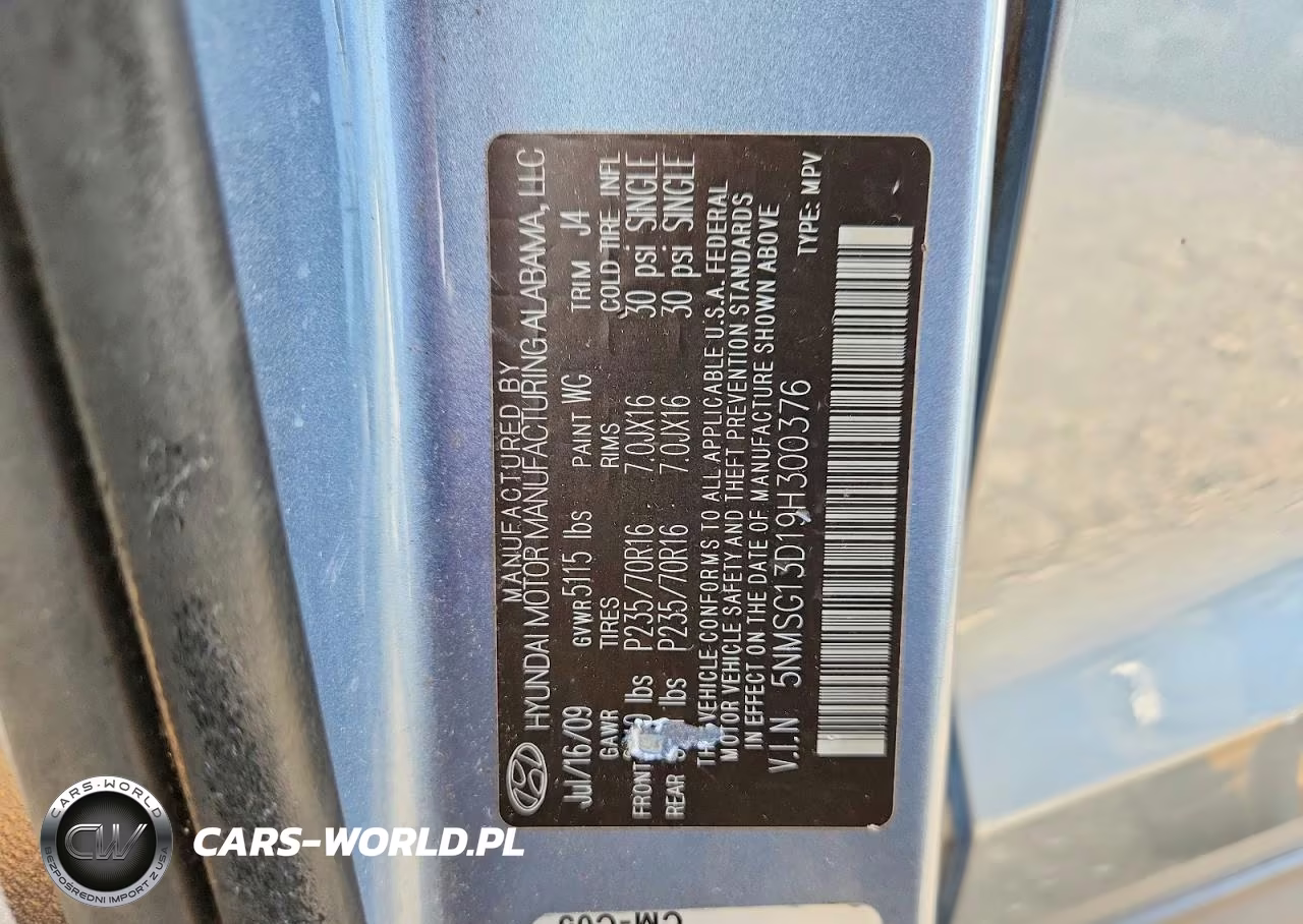 2009 Hyundai Santa Fe Gls VIN:5NMSG13D19H300376 - 13