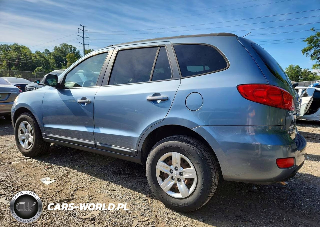2009 Hyundai Santa Fe Gls VIN:5NMSG13D19H300376 - 2