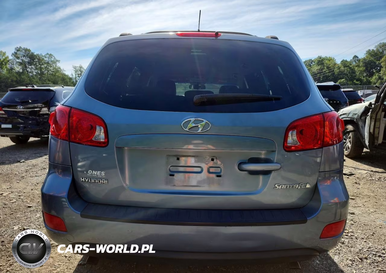 2009 Hyundai Santa Fe Gls VIN:5NMSG13D19H300376 - 6