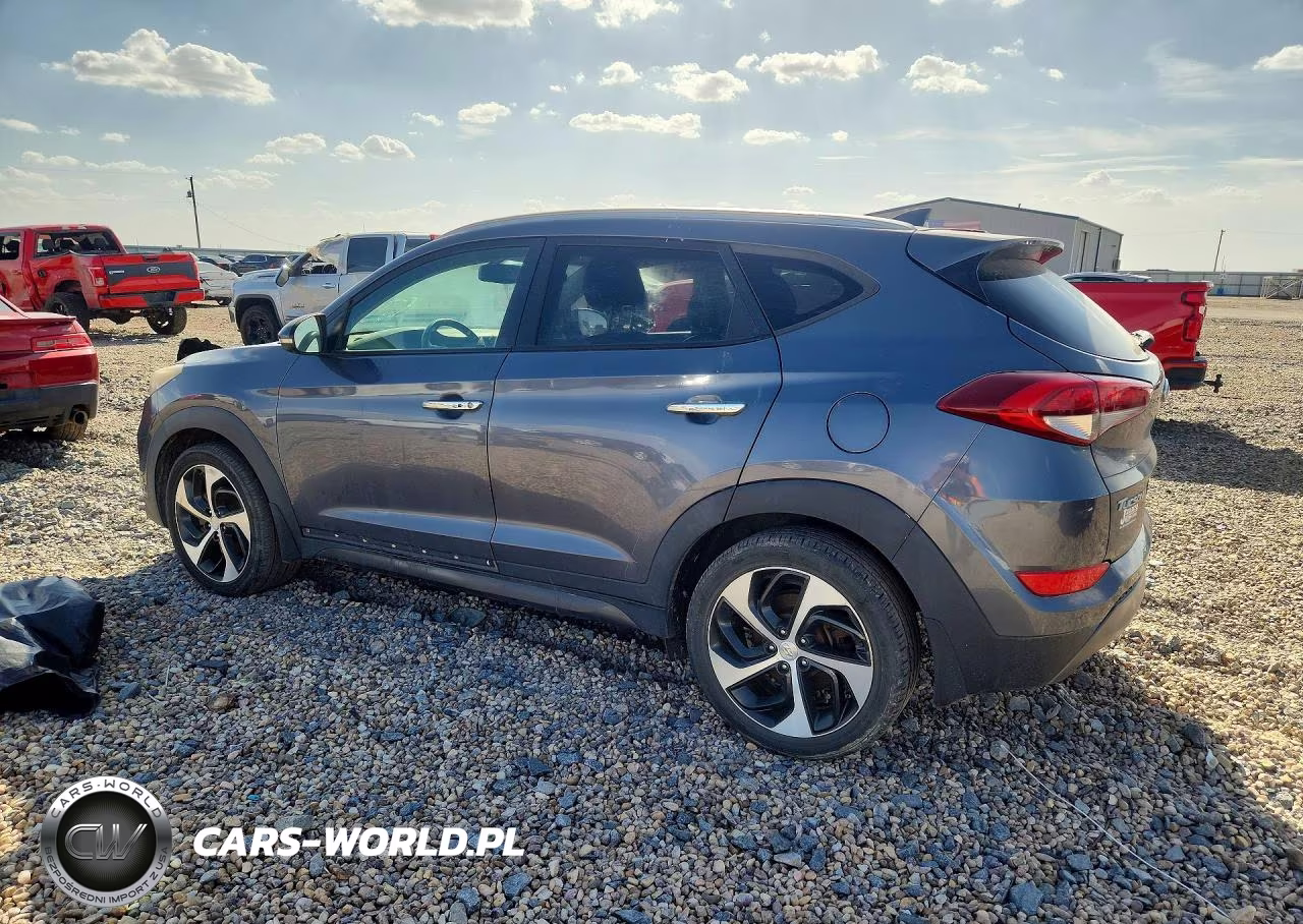 2016 Hyundai Tucson Limited VIN:KM8J3CA29GU062167 - 2
