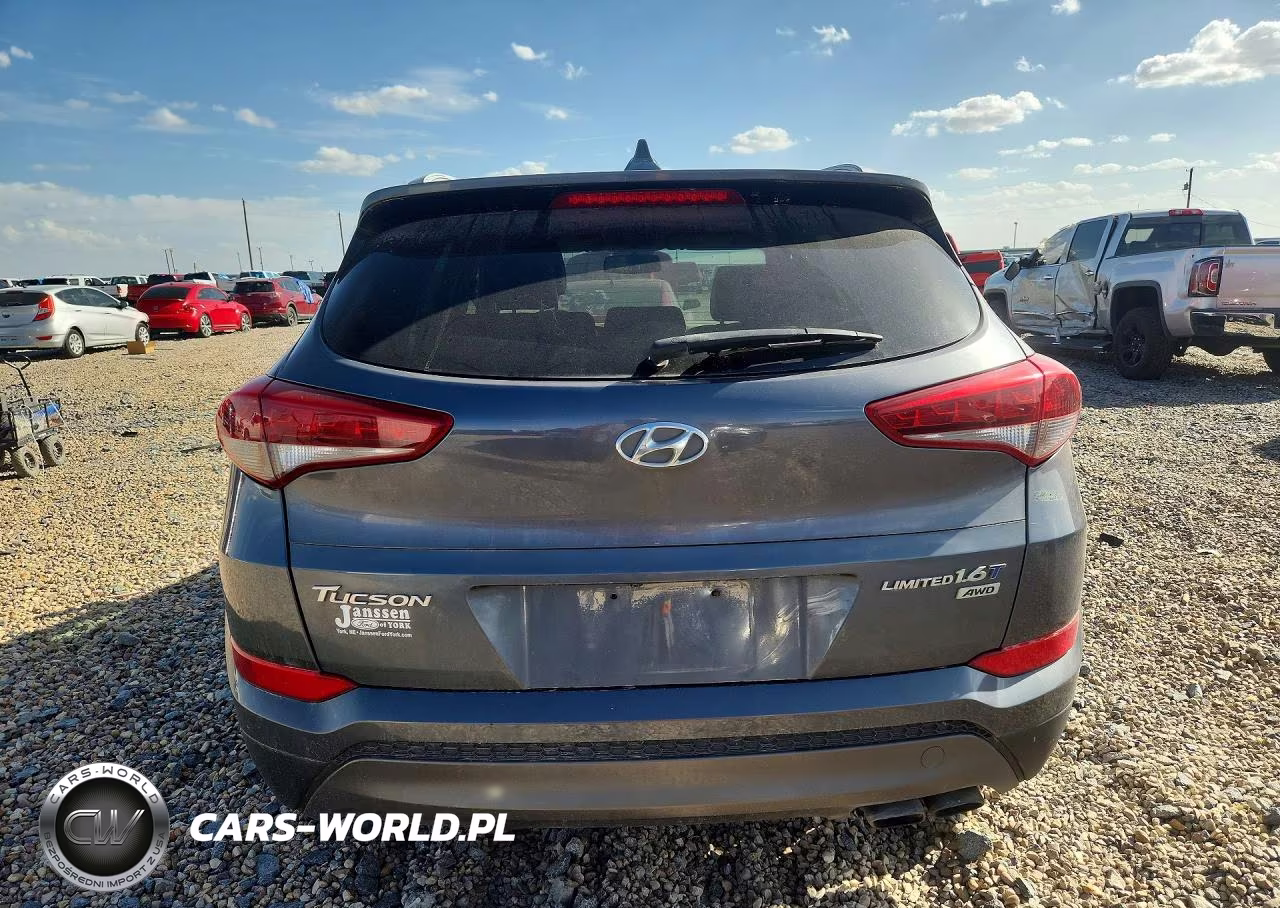 2016 Hyundai Tucson Limited VIN:KM8J3CA29GU062167 - 6