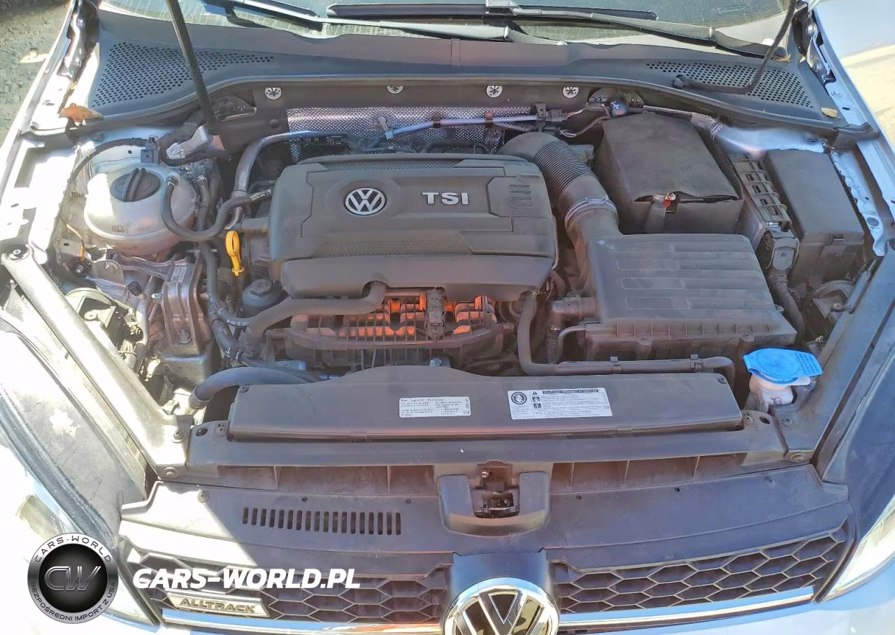 2017 Volkswagen Golf Alltrack S VIN:3VWH17AU4HM524199 - 12