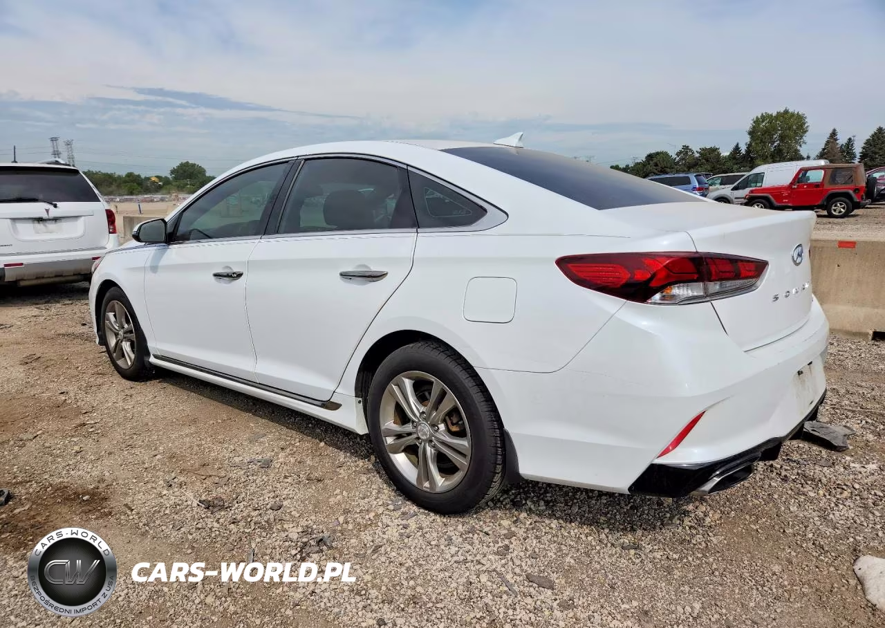 2019 Hyundai Sonata Sport VIN:5NPE34AF0KH814842 - 2