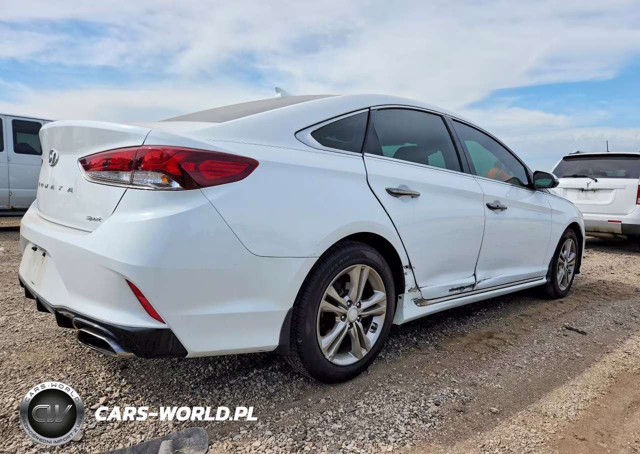 2019 Hyundai Sonata Sport VIN:5NPE34AF0KH814842 - 3