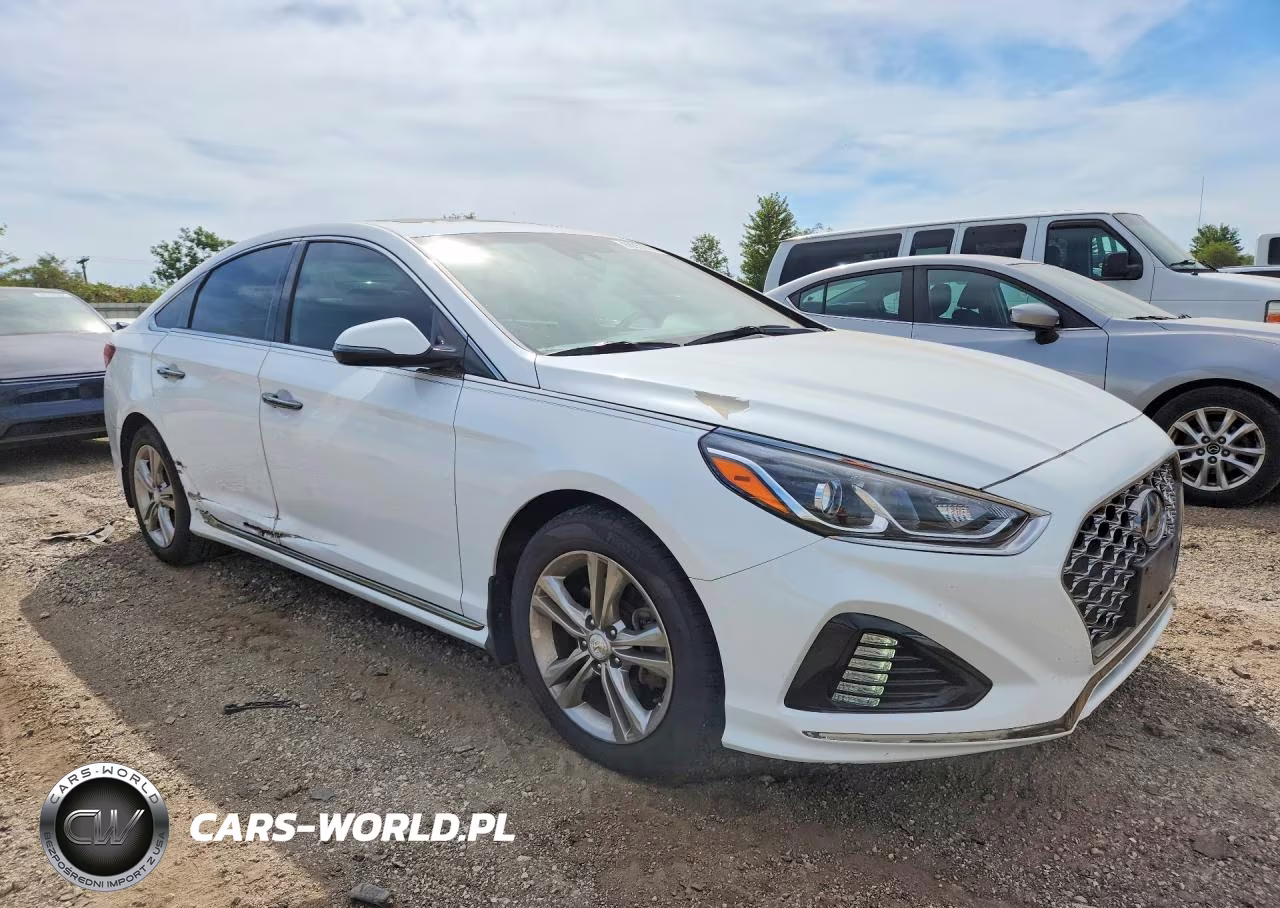 2019 Hyundai Sonata Sport VIN:5NPE34AF0KH814842 - 4