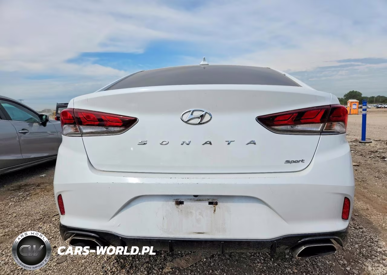 2019 Hyundai Sonata Sport VIN:5NPE34AF0KH814842 - 6