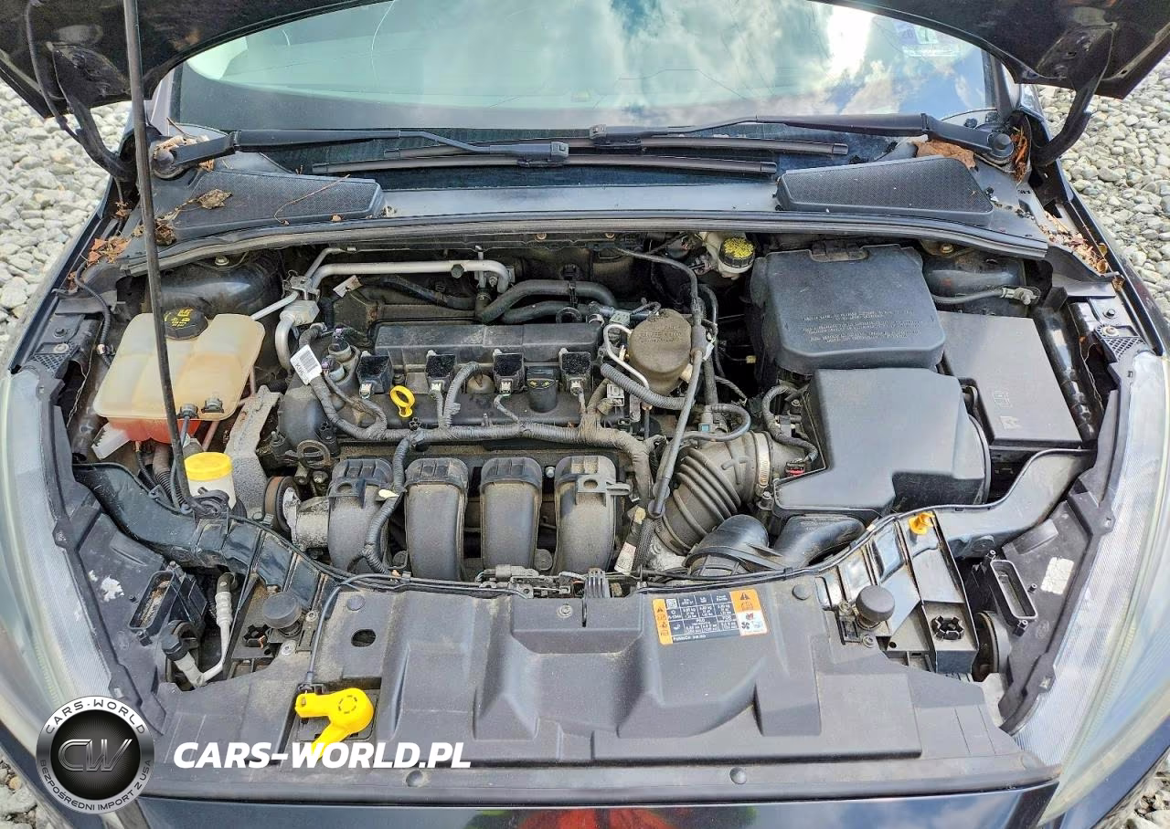 2015 Ford Focus Se VIN:1FADP3F24FL353250 - 11