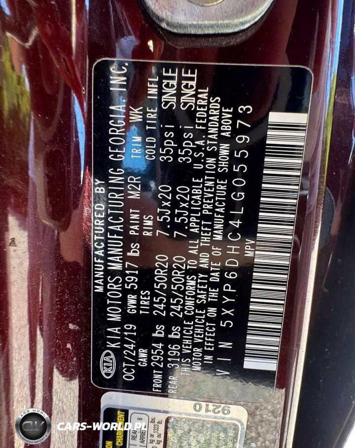 2020 Kia Telluride S VIN:5XYP6DHC4LG055973 - 10