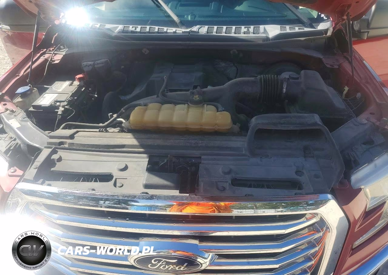 2016 Ford F150 Supercrew VIN:1FTEW1CP5GFB45321 - 11