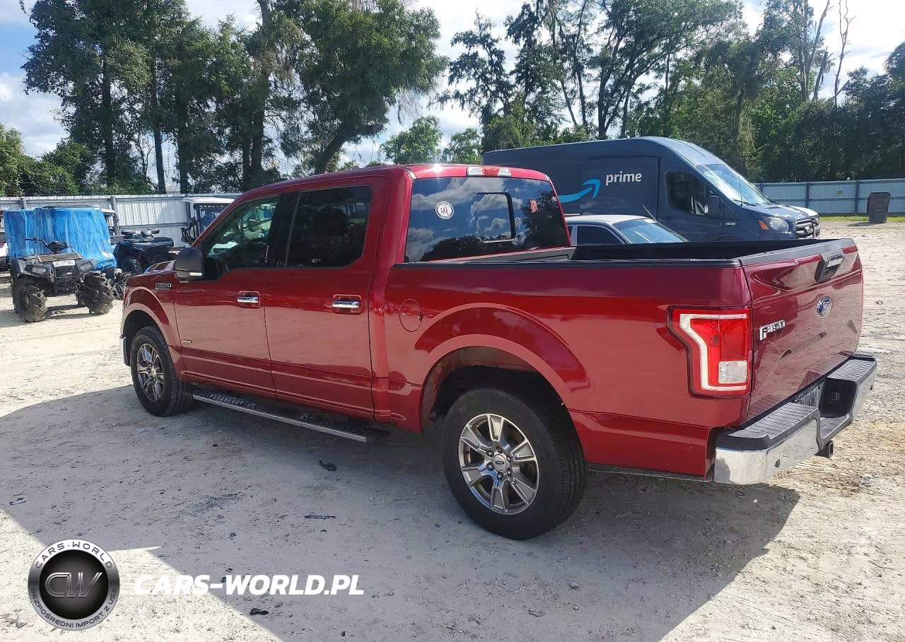 2016 Ford F150 Supercrew VIN:1FTEW1CP5GFB45321 - 2