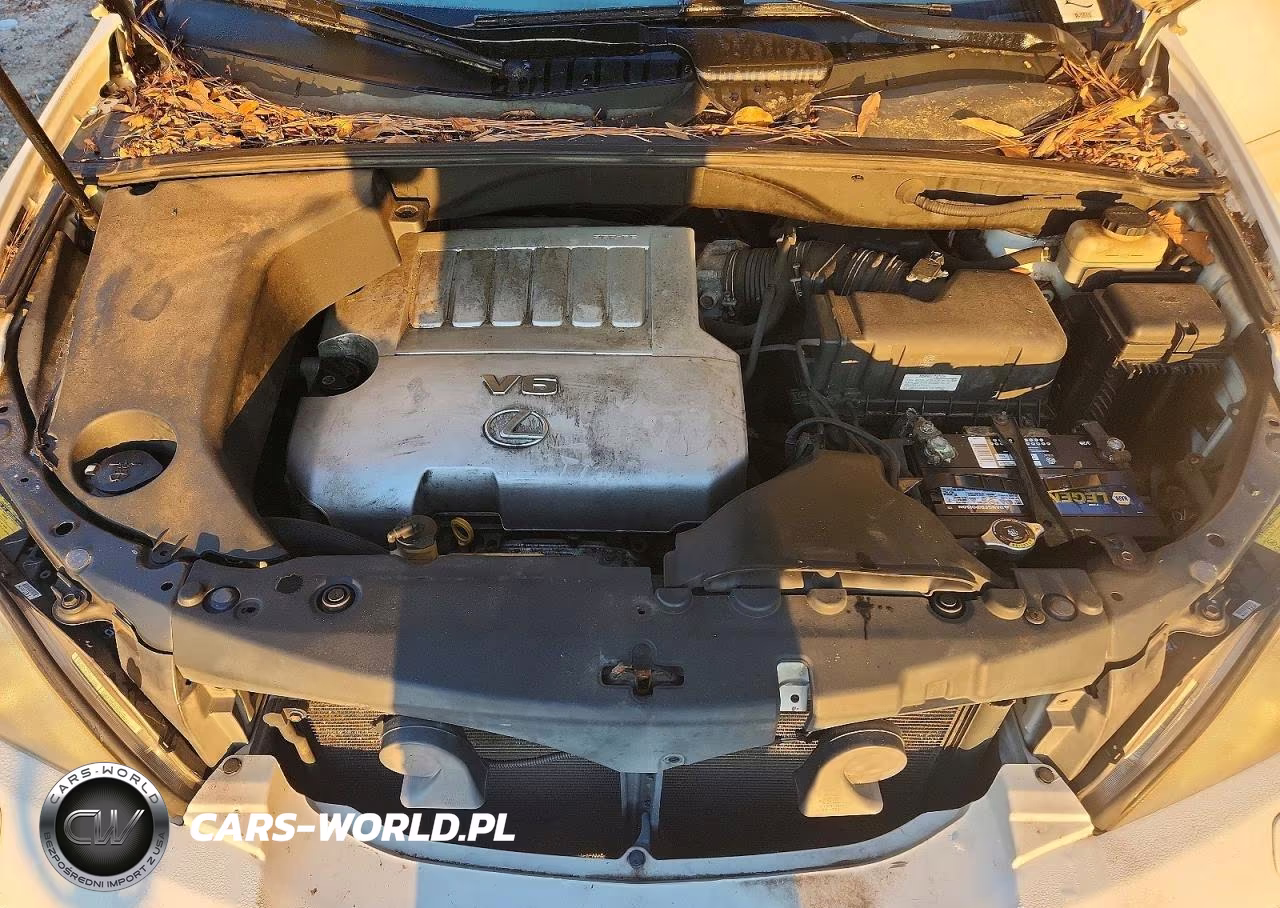 2007 Lexus Rx 350 VIN:2T2HK31U67C006445 - 11