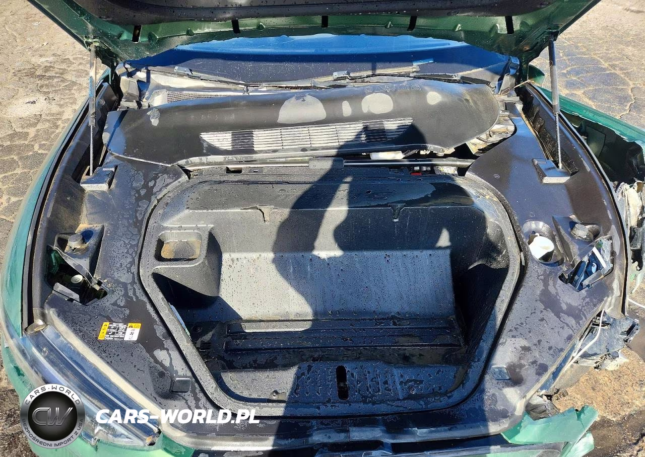 2025 Ford Mustang Mach-E Premium VIN:3FMTK3R75SMA54477 - 12