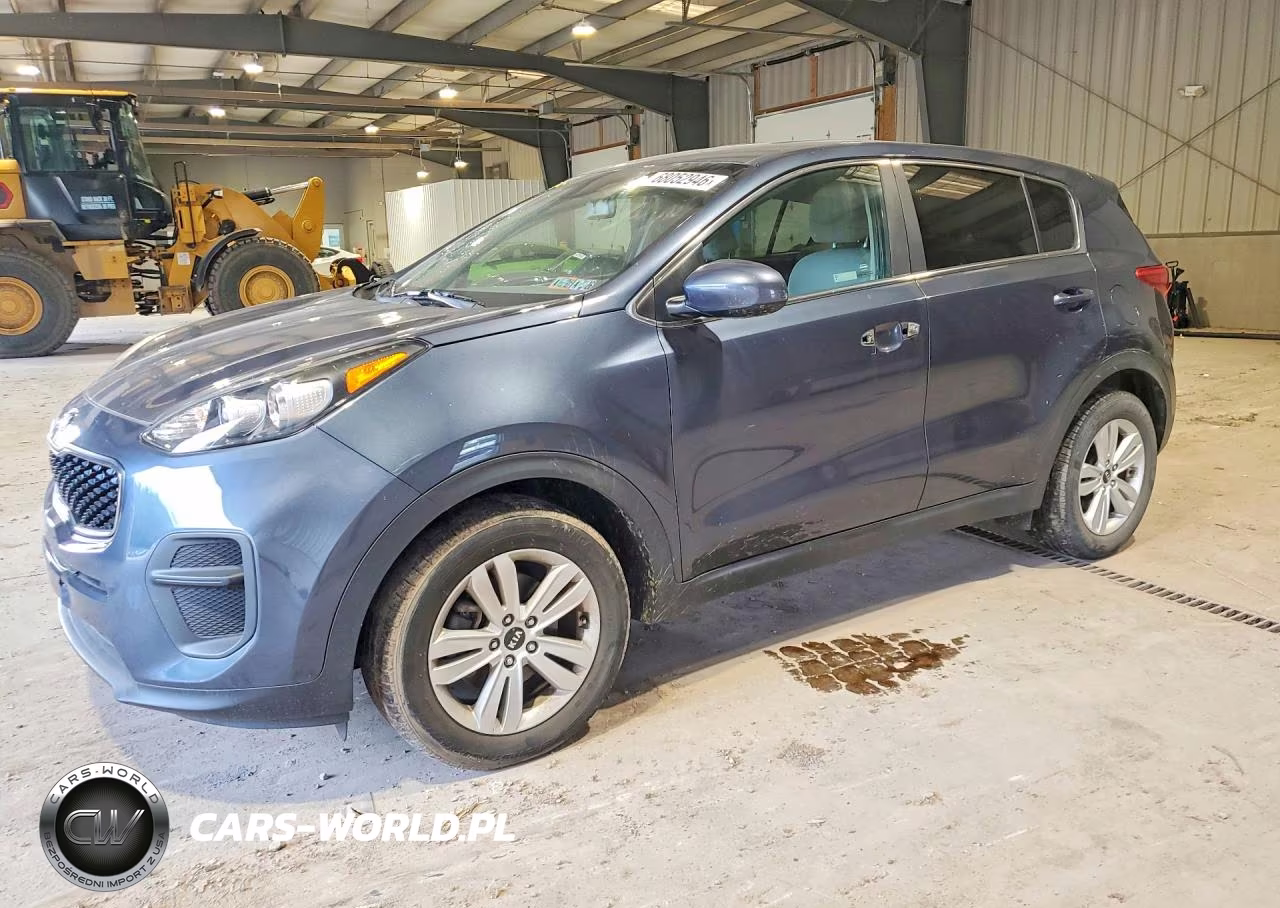 2019 Kia Sportage Lx VIN:KNDPM3AC1K7589034 - 1