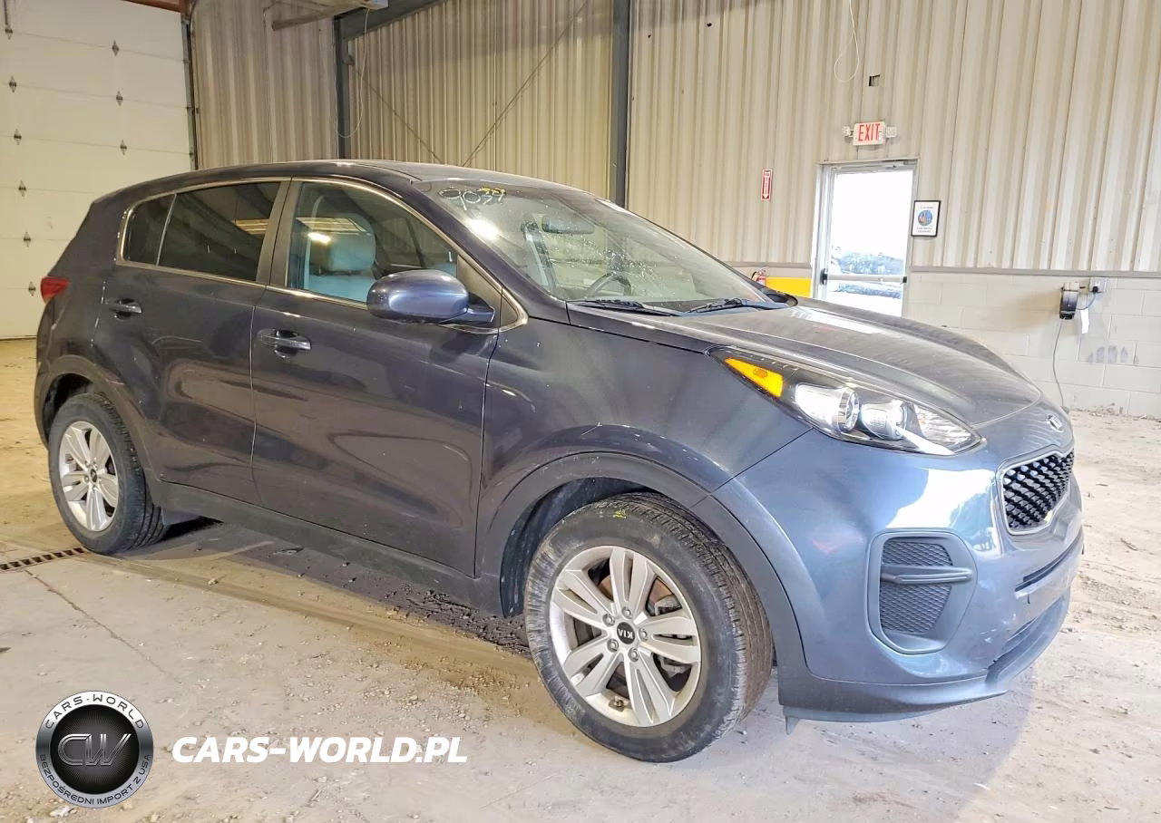 2019 Kia Sportage Lx VIN:KNDPM3AC1K7589034 - 4