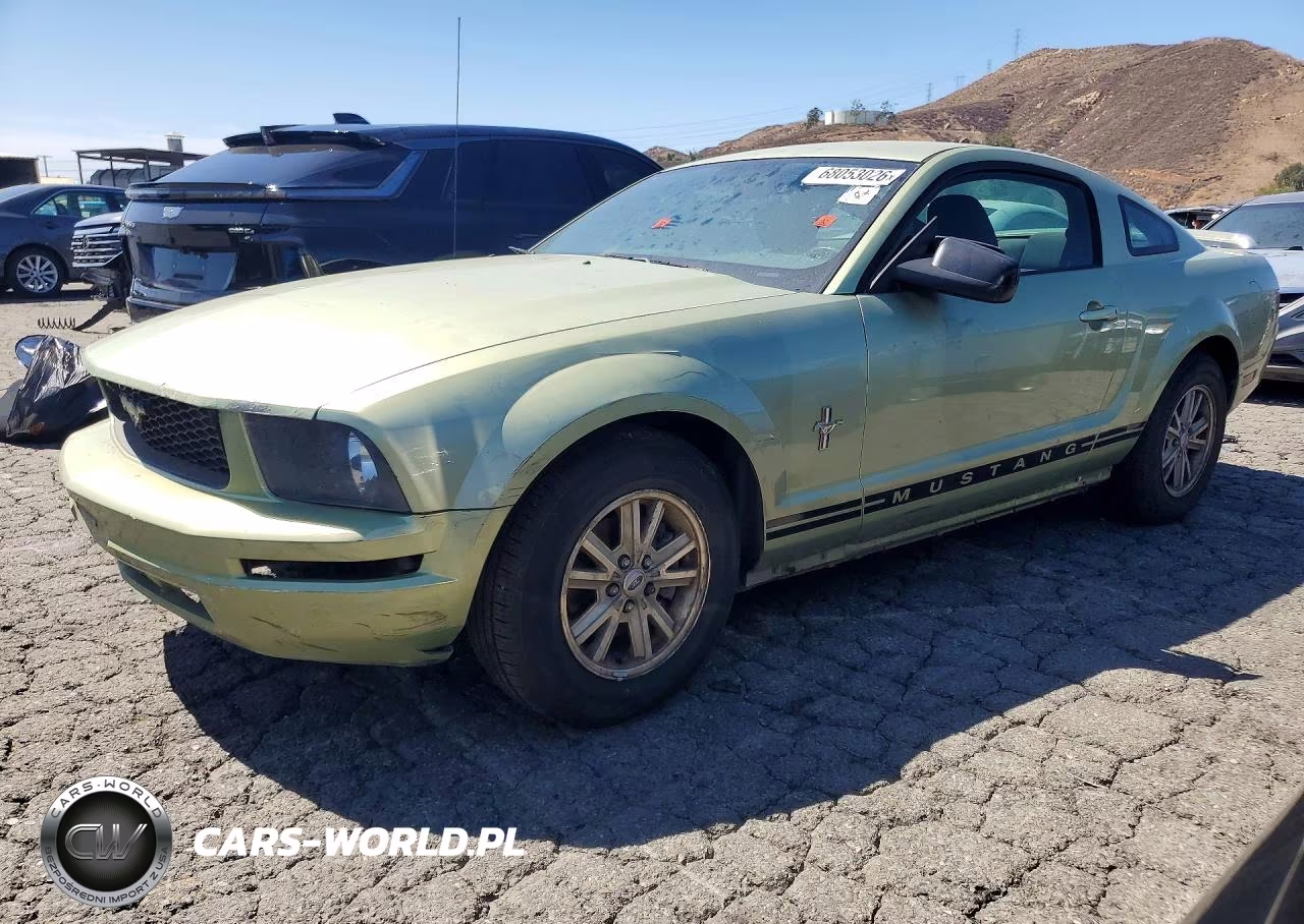 2006 Ford Mustang VIN:1ZVHT80NX65174963 - 1