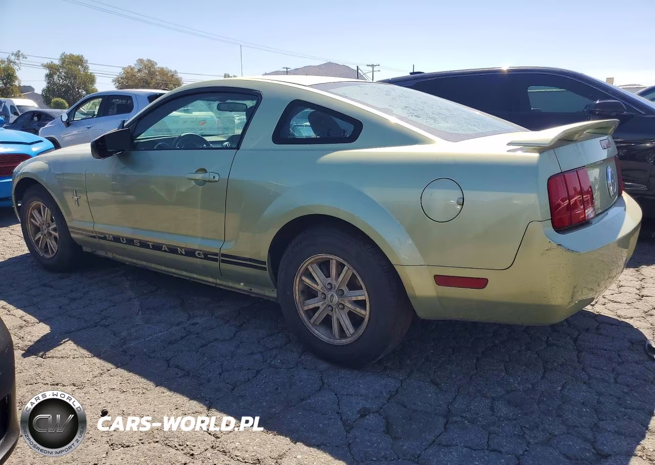 2006 Ford Mustang VIN:1ZVHT80NX65174963 - 2