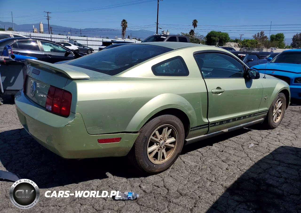 2006 Ford Mustang VIN:1ZVHT80NX65174963 - 3