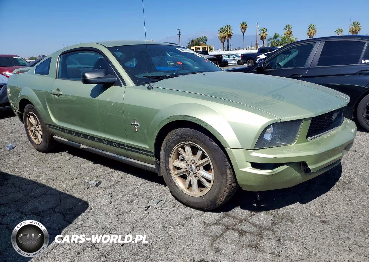 2006 Ford Mustang VIN:1ZVHT80NX65174963 - 4