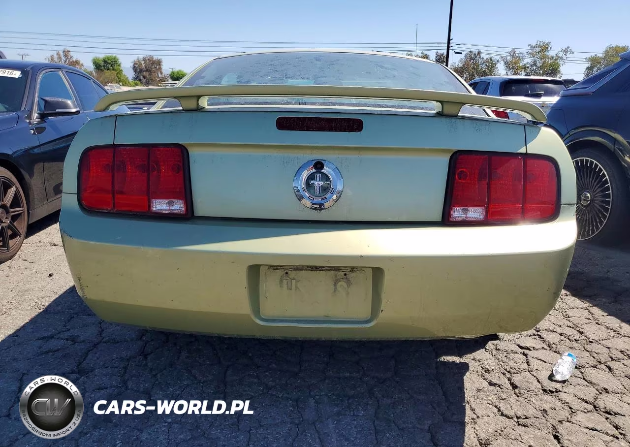 2006 Ford Mustang VIN:1ZVHT80NX65174963 - 6