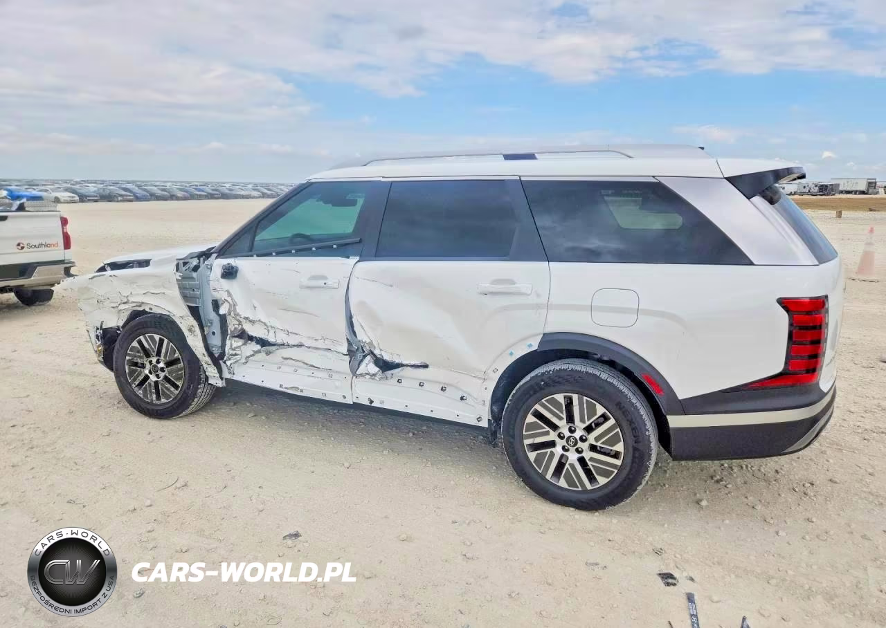 2026 Hyundai Palisade Blue Sel VIN:KM8RL5SA8TU077869 - 2