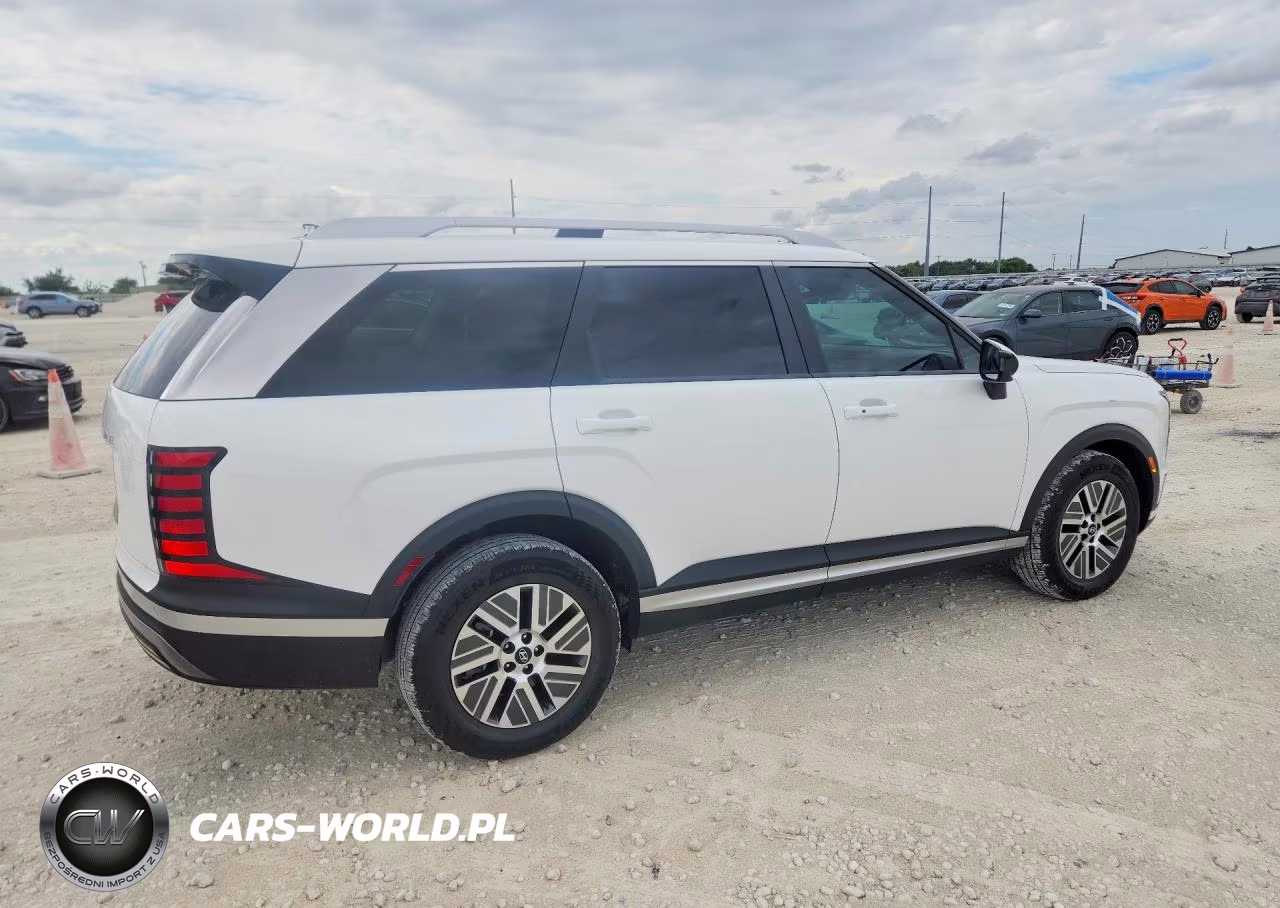 2026 Hyundai Palisade Blue Sel VIN:KM8RL5SA8TU077869 - 3