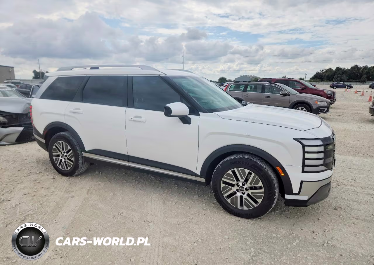 2026 Hyundai Palisade Blue Sel VIN:KM8RL5SA8TU077869 - 4