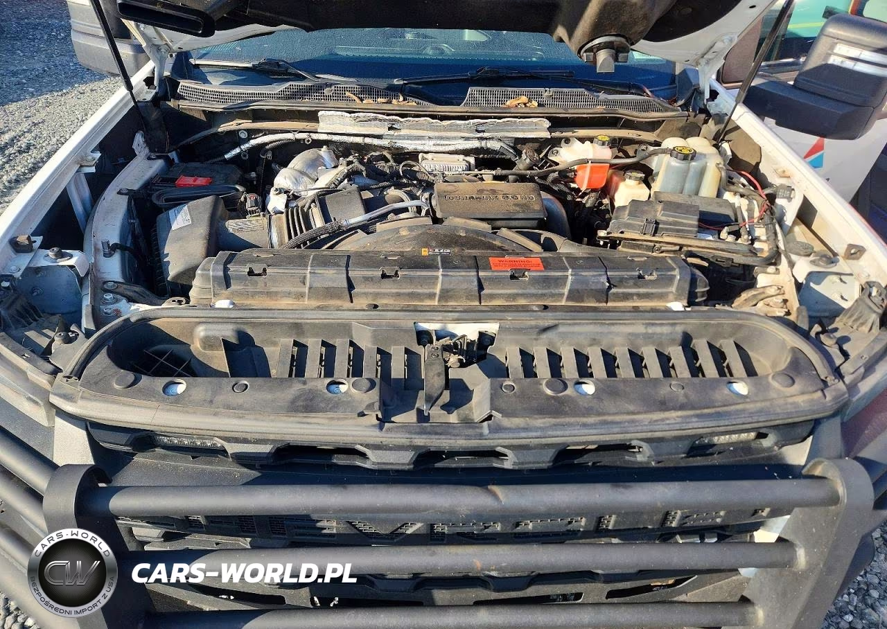 2020 Chevrolet Silverado K3500 VIN:1GC4YSEY2LF301097 - 12