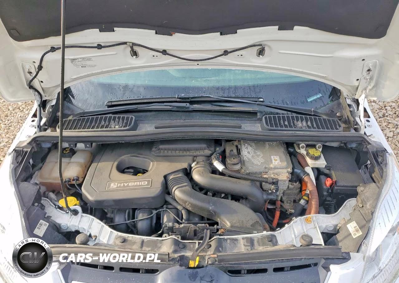 2018 Ford C-Max Se VIN:1FADP5AU6JL106034 - 11