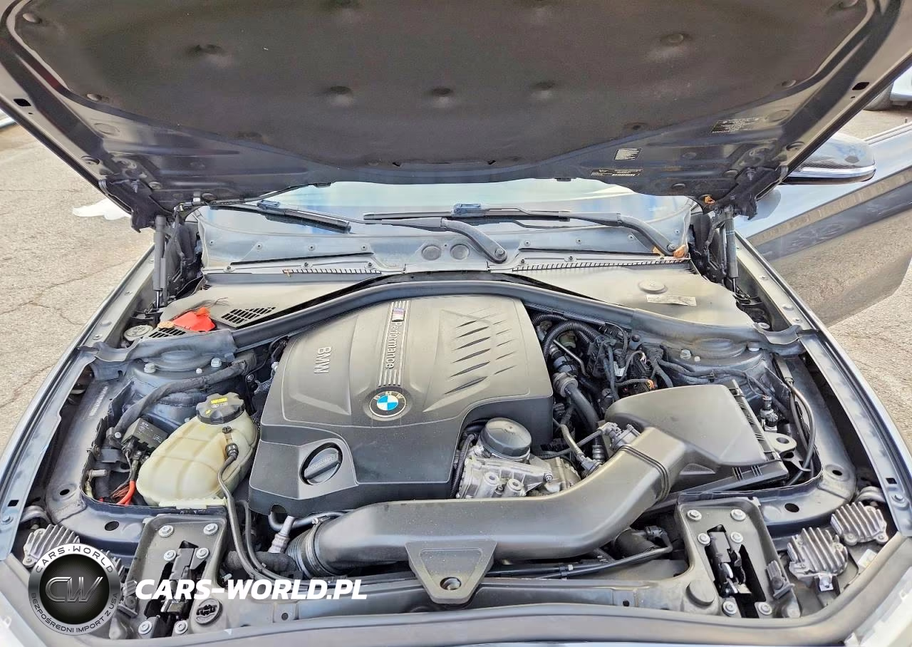 2014 BMW M235I VIN:WBA1J7C56EV253008 - 11