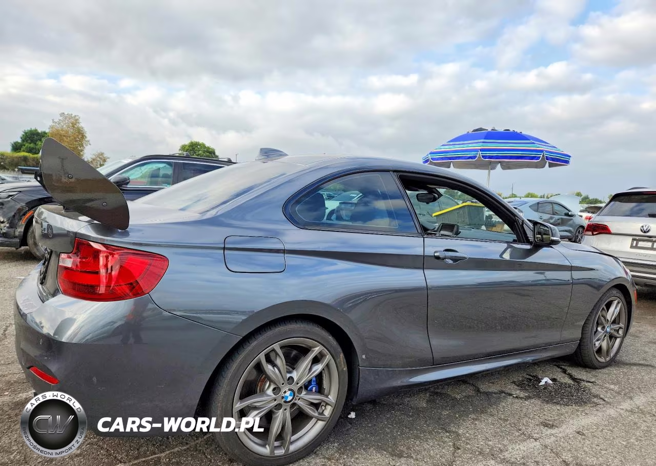 2014 BMW M235I VIN:WBA1J7C56EV253008 - 3