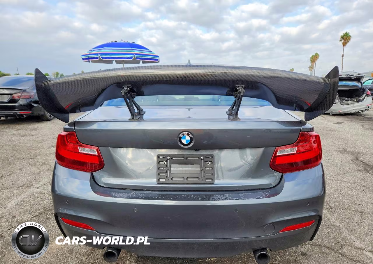 2014 BMW M235I VIN:WBA1J7C56EV253008 - 6