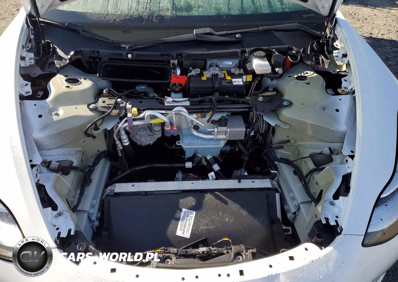 2020 Tesla Model 3 VIN:5YJ3E1EA7LF612398 - 11