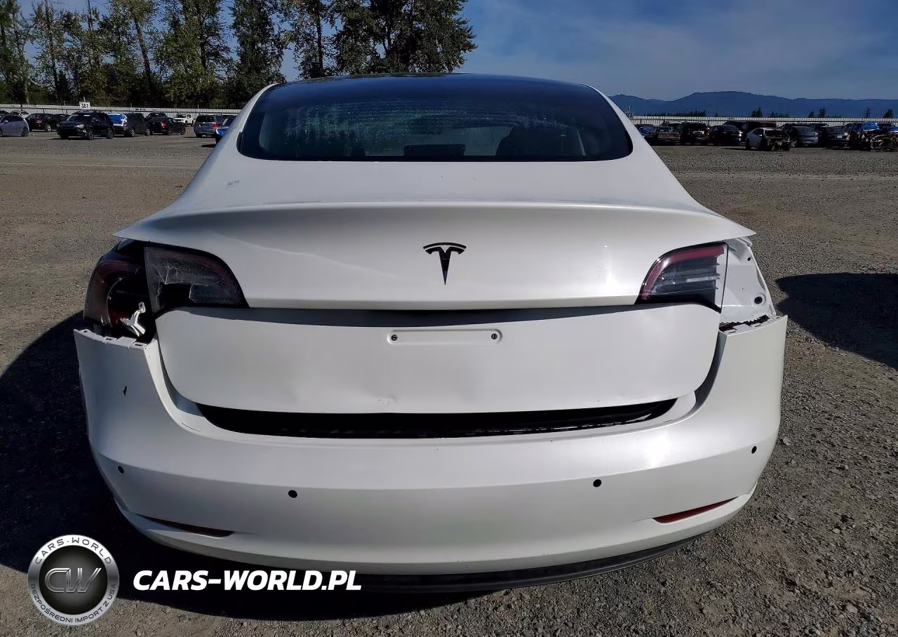 2020 Tesla Model 3 VIN:5YJ3E1EA7LF612398 - 6