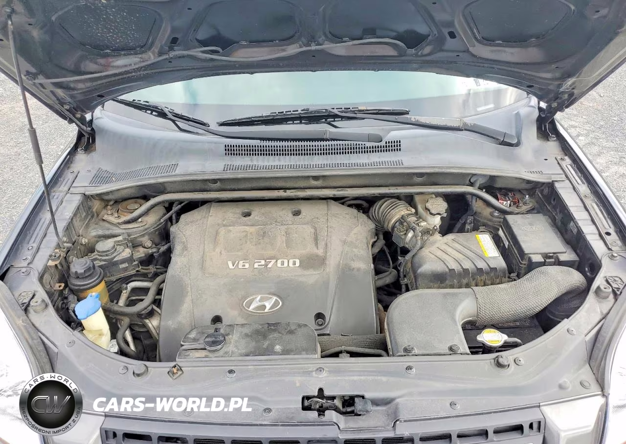 2006 Kia Sportage Lx VIN:KNDJE723567175138 - 12