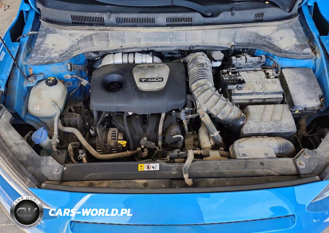 2019 Hyundai Kona Limited VIN:KM8K33A52KU192542 - 11