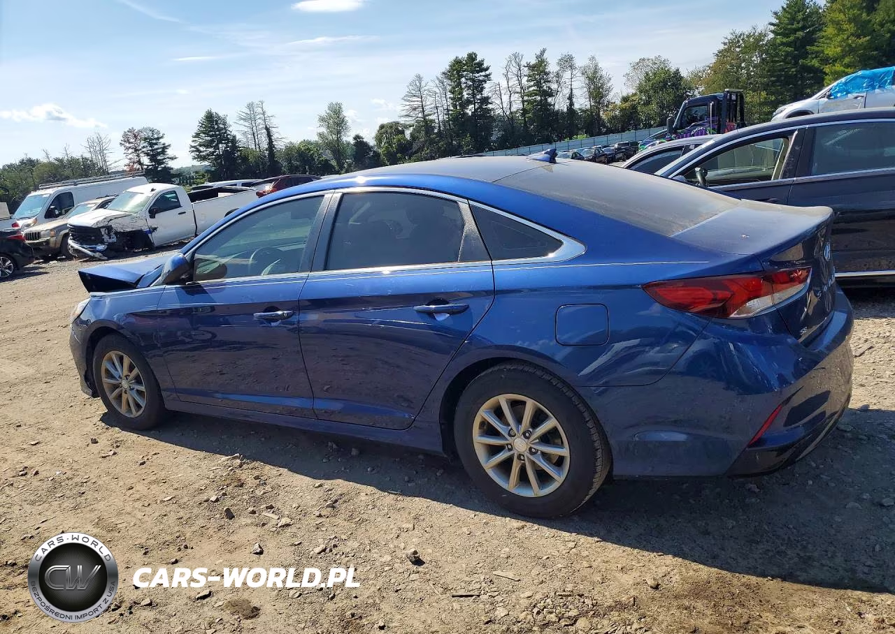2019 Hyundai Sonata Se VIN:5NPE24AF6KH772566 - 2