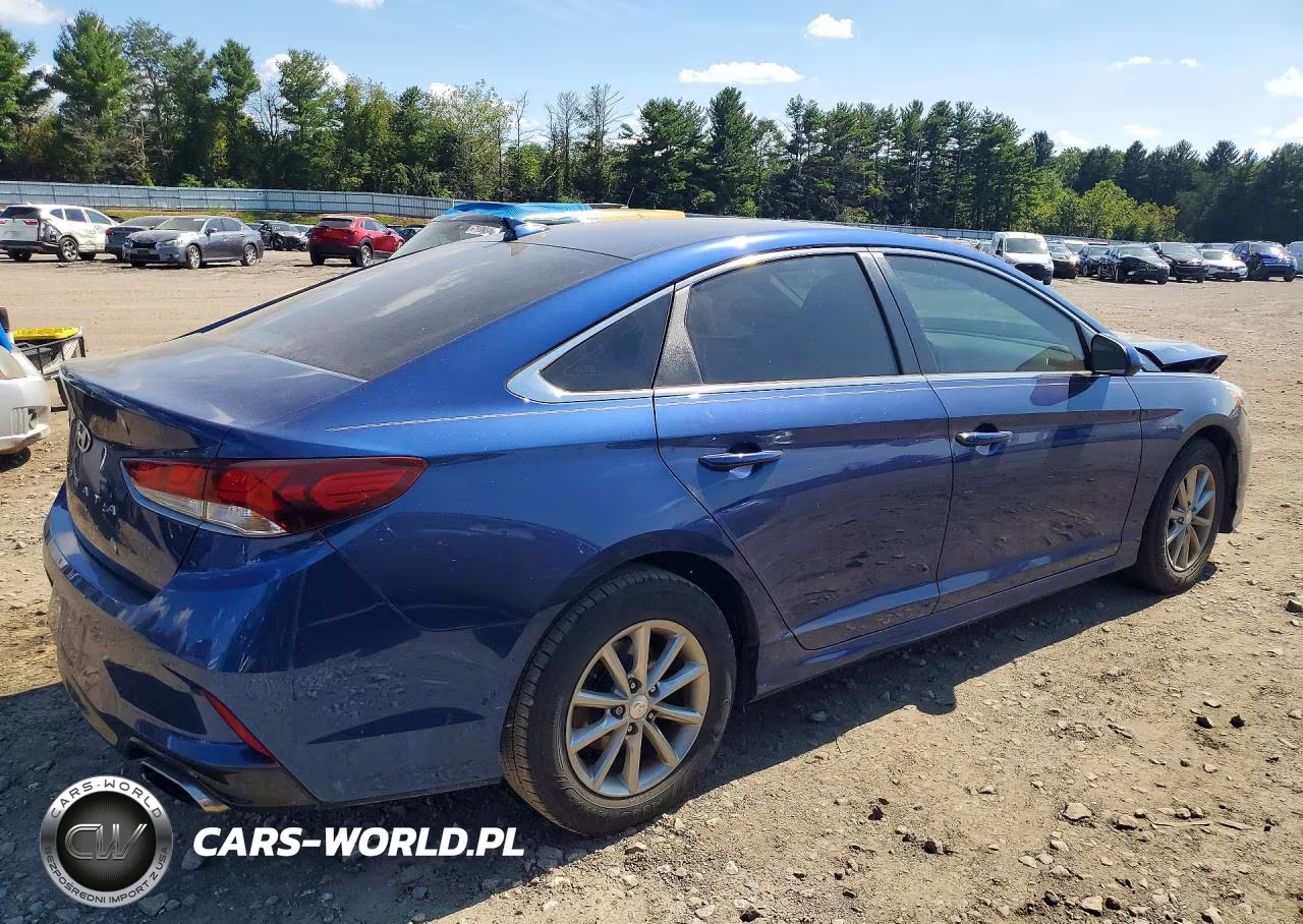 2019 Hyundai Sonata Se VIN:5NPE24AF6KH772566 - 3