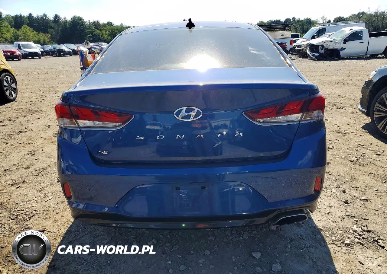 2019 Hyundai Sonata Se VIN:5NPE24AF6KH772566 - 6