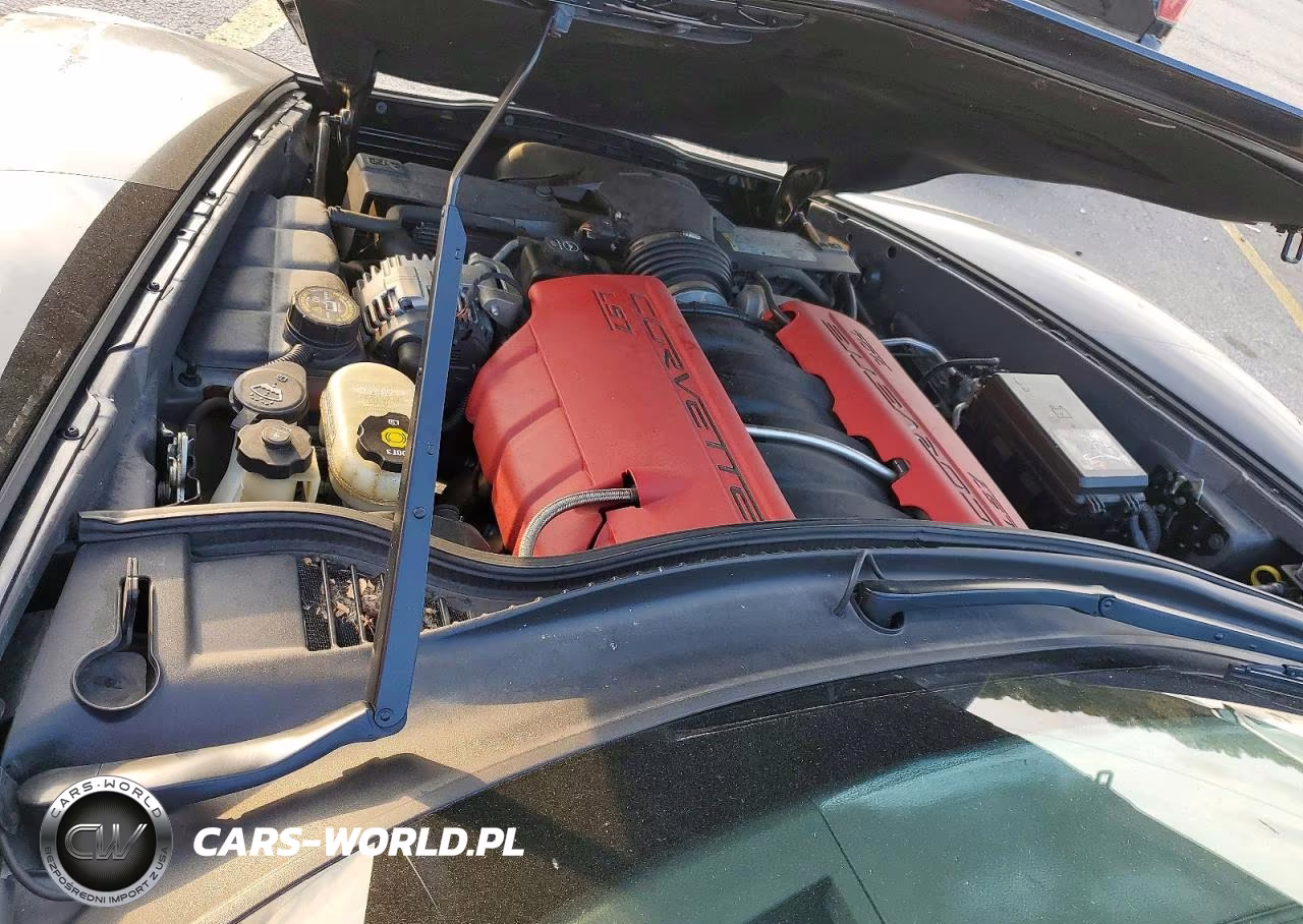 2007 Chevrolet Corvette Z06 VIN:1G1YY26EX75108335 - 11
