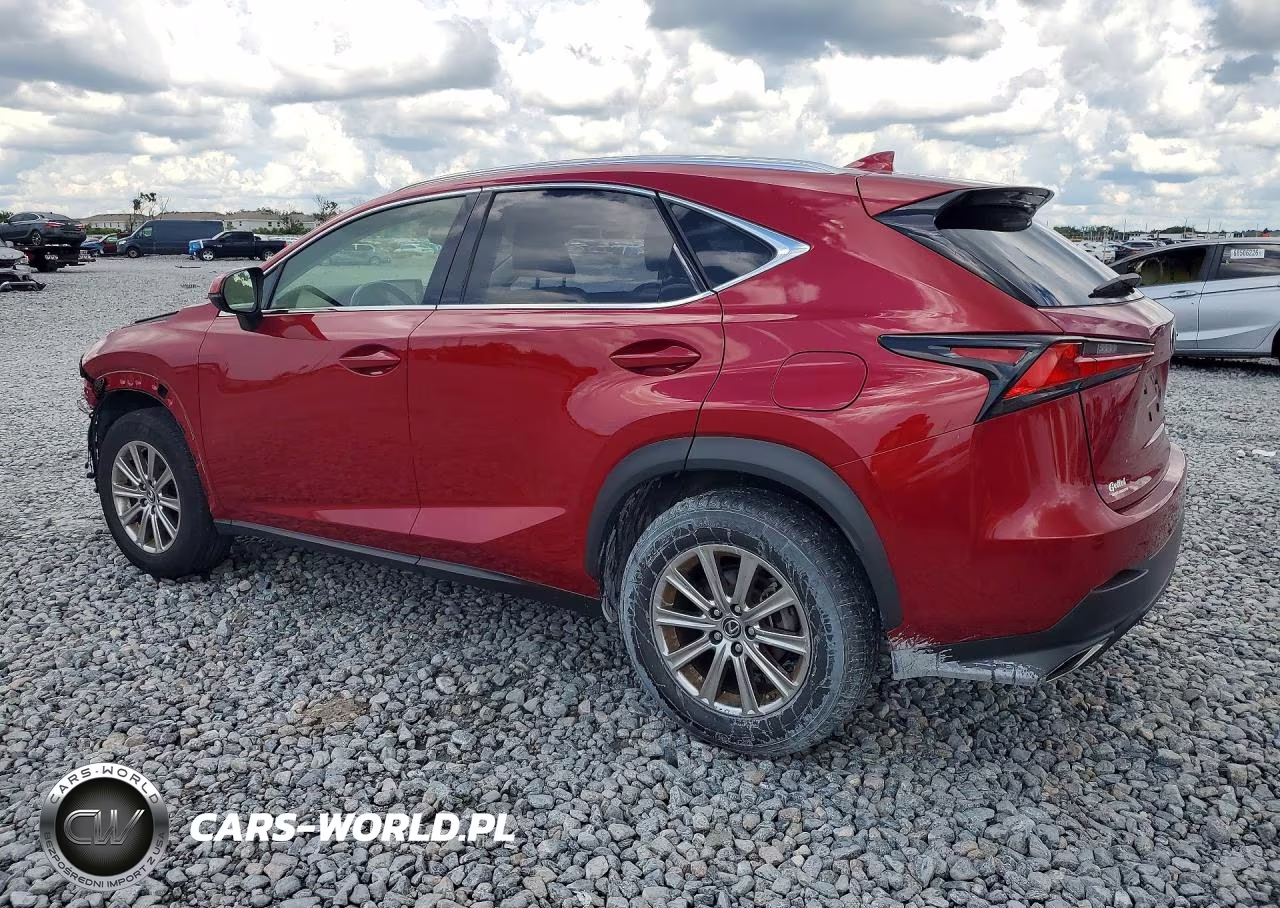 2021 Lexus Nx 300 Base VIN:JTJDARBZ8M5026172 - 2