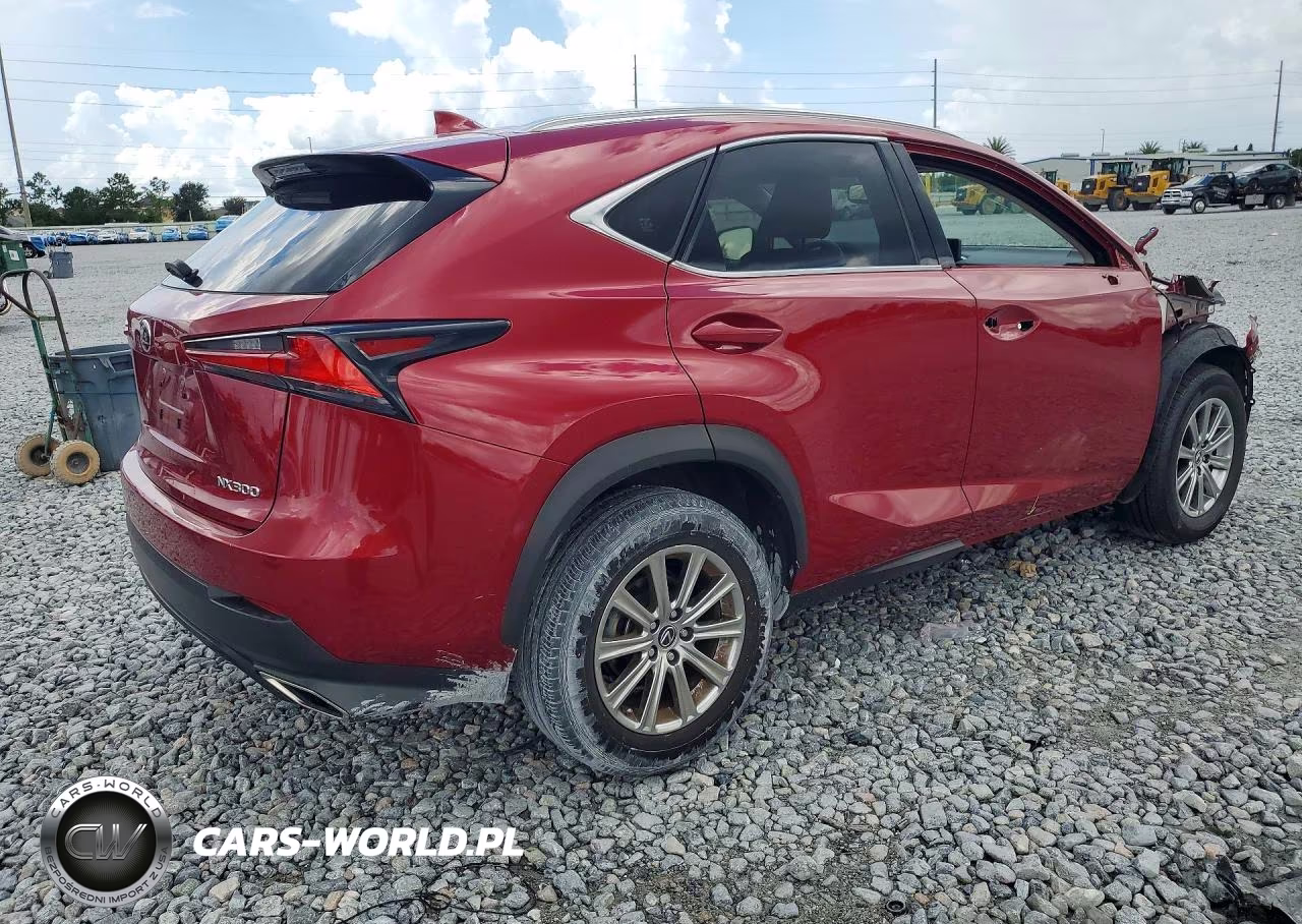 2021 Lexus Nx 300 Base VIN:JTJDARBZ8M5026172 - 3